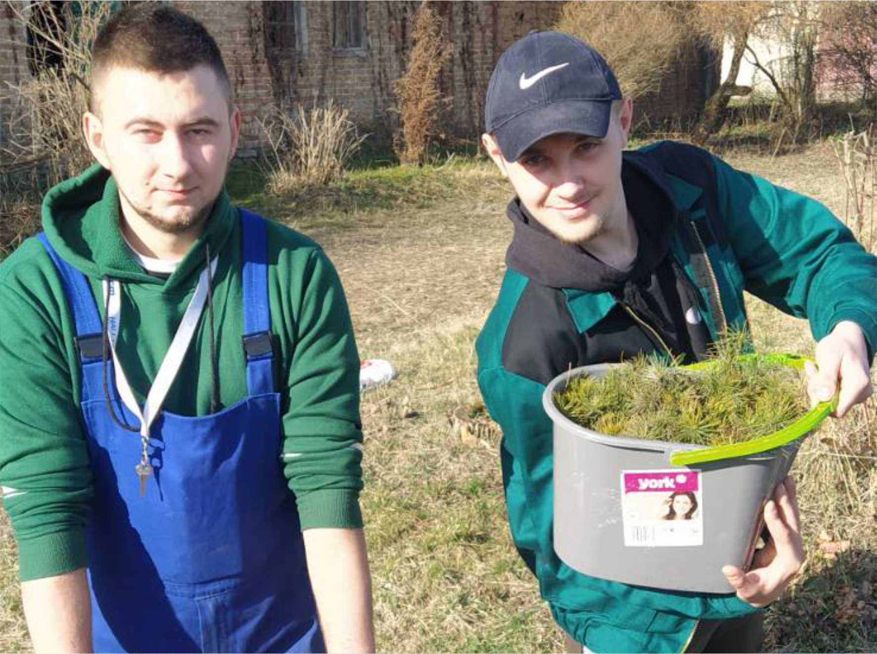 Весняні посадки